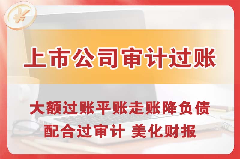 宁安上市公司审计过账